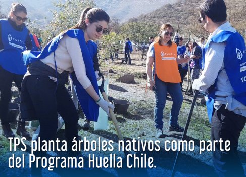 TPS planta árboles nativos como parte del Programa Huella Chile